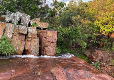 Bateleur Nature Reserve