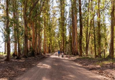 AfriCamps at Oakhurst