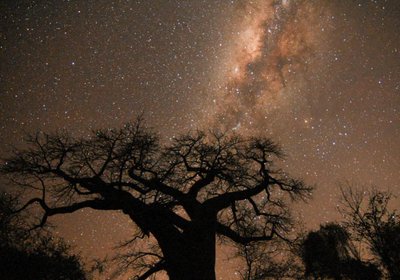 Nthakeni Bush & River Camp