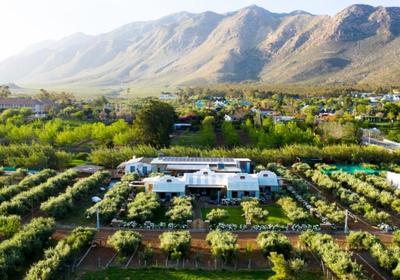 Olive Stone Farm and Cottages