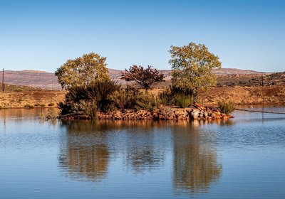 Marinvia Trust T/A Rooilande Guest Farm