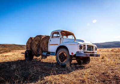 Marinvia Trust T/A Rooilande Guest Farm