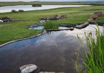 Francolin Creek Guest Lodge