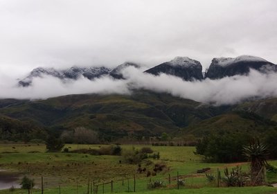 Leeurivier Onder Die Hoogte 
