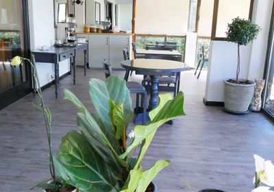 Swallows Nest Guesthouse