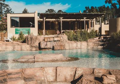 Oudebosch Guest Farm Riversdal