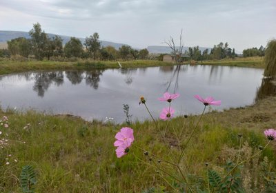 The Fat Mulberry Guest Farm