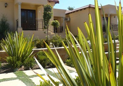 The Moon and Sixpence