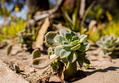 Sian Simba River Lodge