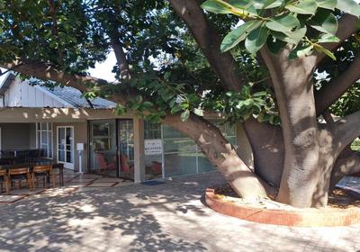 Black Swan Guest House