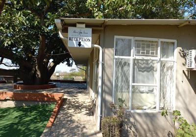 Black Swan Guest House