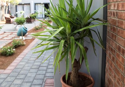 Touching Senses Garden Cottage