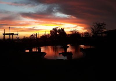 Nyani Lodge Dinokeng