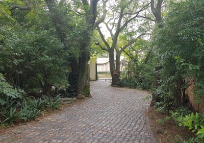 Dennis Road Guesthouse