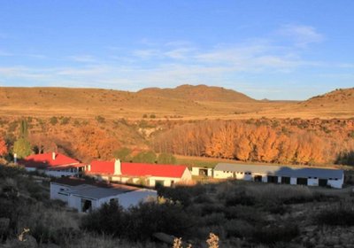 Ganora Guest Farm and Excursions