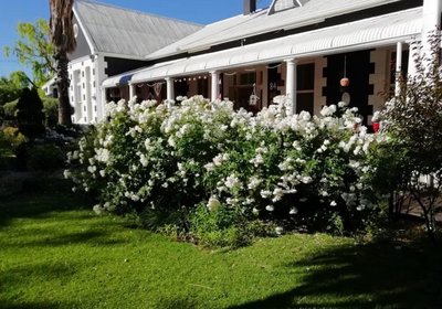 Oude Pastorie Gastehuis