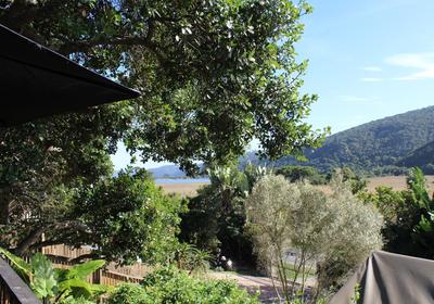 The Wild - in Wilderness