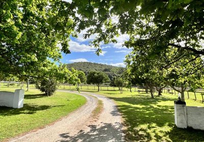 Bitou River Lodge B&B