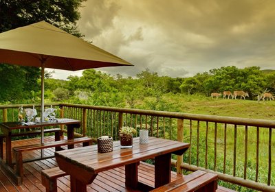 Garden Route Safari Camp