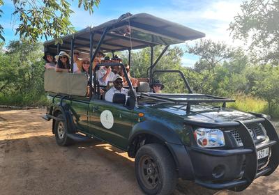  Wild Olive Tree Camp