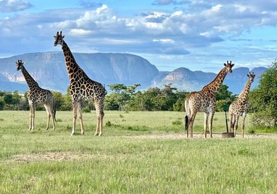 Vilagama Private Game Lodge