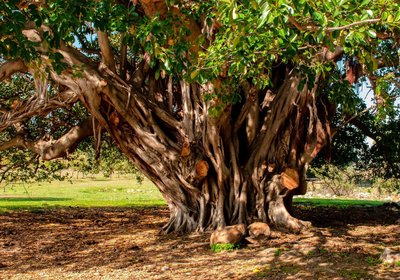 Welbedacht Game & Nature Reserve