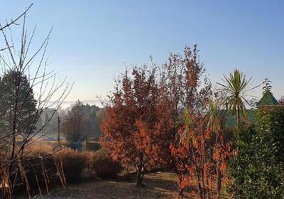 DullVino House Dullstroom