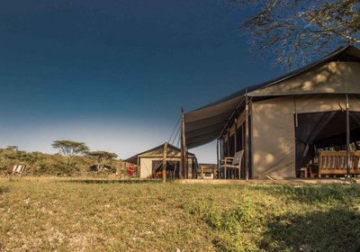 Porini Cheetah Camp