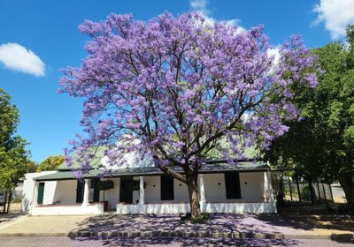 Die Dorpshuis Graaff Reinet