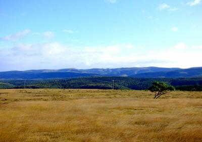 The Ranch House at African Safari Lodge