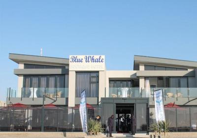 Blue Whale Hotels