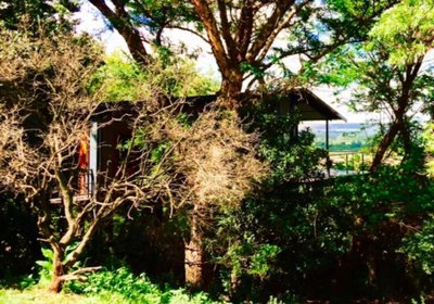 Tree Tops Guest Farm