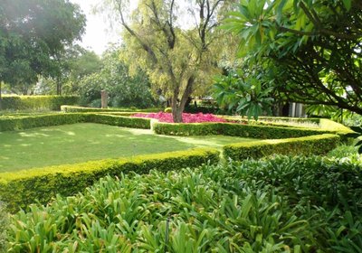 Rose & Ivy Guesthouse