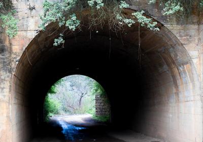 Springvale Farm Cottages