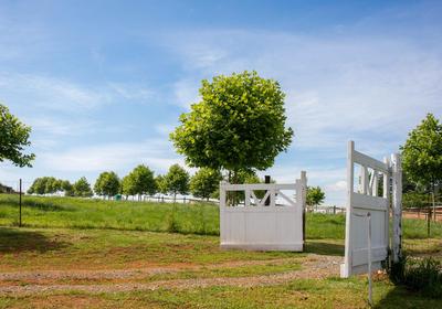 Springvale Farm Cottages