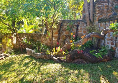 The Green Lizard Guesthouse