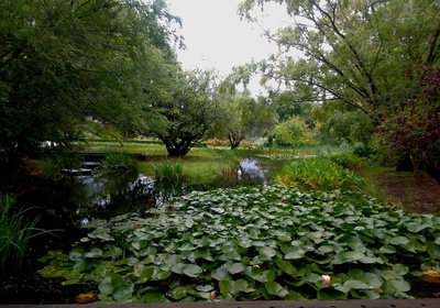 The Owners Cottage / La Provencale