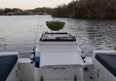 Old Willow No 7 Houseboat Charters