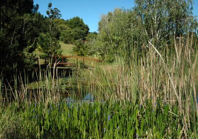 Masescha Country Estate