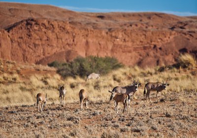 Namib Desert Lodge Camping, Sossusvlei, Namibia