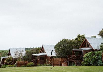 Misty Mountain Reserve