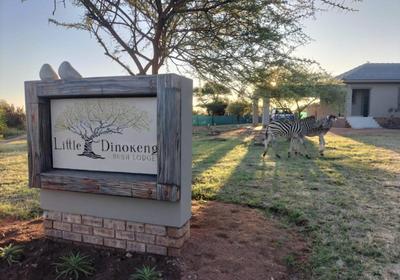 Little Dinokeng Bush Lodge