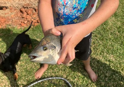 Stone Meadows Country Estate