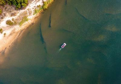 Taranga Safari Lodge