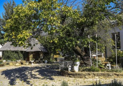 The Green Acorn Guest House