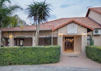 Three Oaks and an Aloe