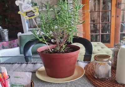 Milk and Honey self-catering Guesthouse