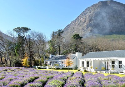 Lavender Farm Guest House