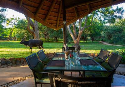 Kubu Safari Lodge