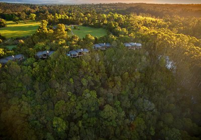 Tsala Treetop Lodge and Villas